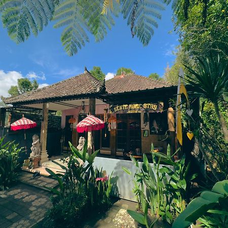 Homestay Sente Munduk  Bagian luar foto