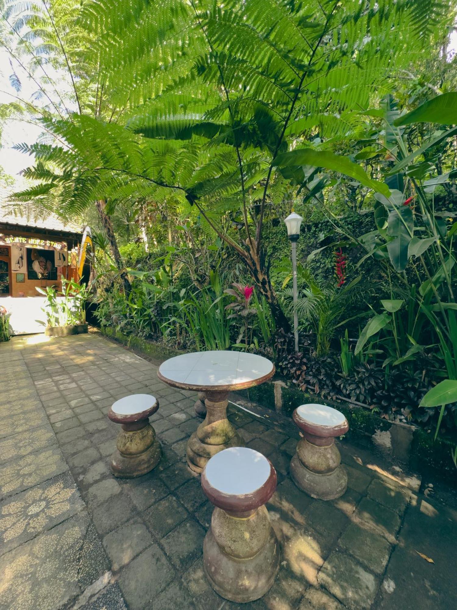 Homestay Sente Munduk  Bagian luar foto
