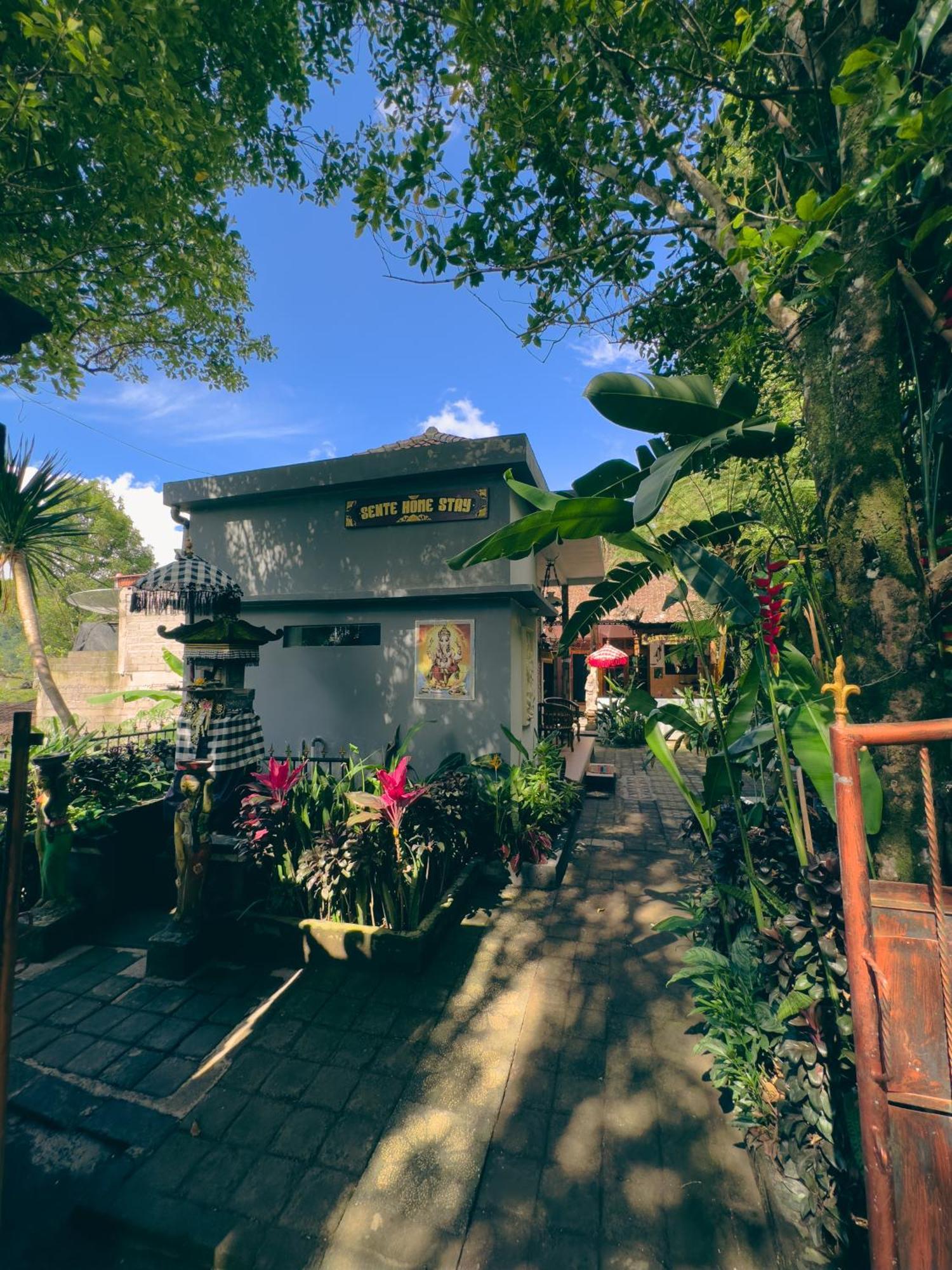 Homestay Sente Munduk  Bagian luar foto