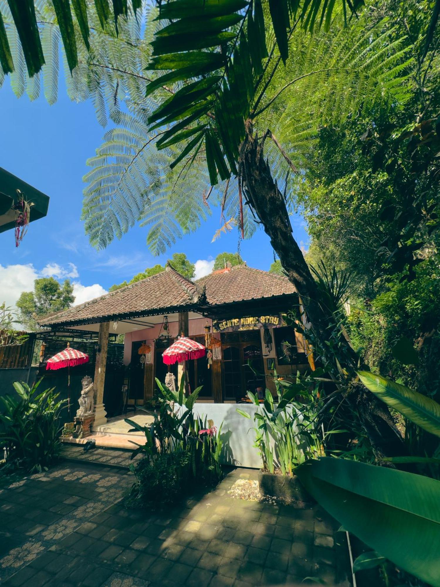 Homestay Sente Munduk  Bagian luar foto